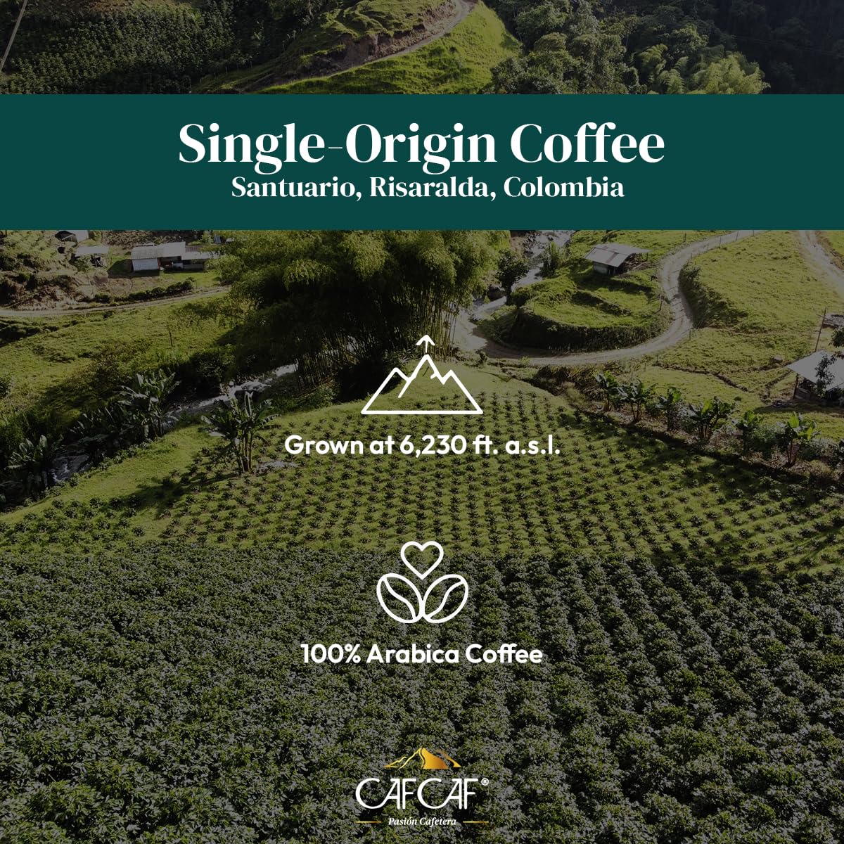 (B) CAF CAF PASION CAFETERA Coffee - Colombia 12 Oz